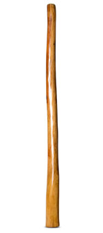 Gloss Finish Flared Didgeridoo (TW958)